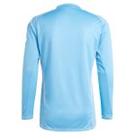aston villa adidas goalkeeper shirt 2024-25 – long sleeve – 201964005 with custom printing Collection | Aston Villa Fan Shop
