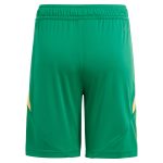 aston villa adidas goalkeeper shorts 2024-25 – 201964010 Collection | Aston Villa Fan Shop