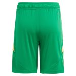 aston villa adidas goalkeeper shorts 2024-25 – kids – 201964012 Collection | Aston Villa Fan Shop