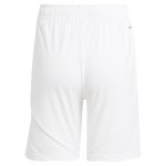 aston villa adidas home shorts 2024-25 with custom printing Collection | Aston Villa Fan Shop